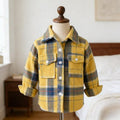 New spring children's clothing: boys' long-sleeved plaid shirt - korean style