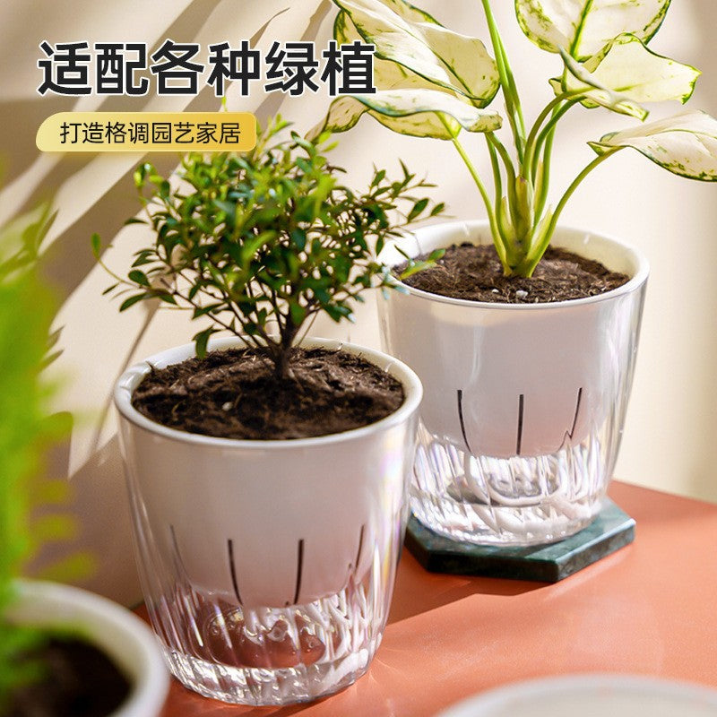Office transparent lazy flower pot small self-priming water green dill orchid special indoor desktop small thickened flower pot