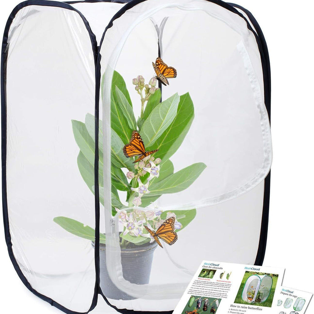 Manufacturer customizes  insect-like mesh fine mesh transparent insect seedling cultivation light-transmitting box foldable butterfly cage