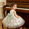 Girls' formal dress vest dress cross-border e-commerce children's princess dress birthday first birthday outfit flower girl dress new  collection