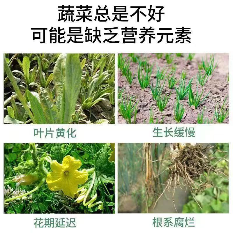 Special fertilizer for vegetables, cucumber, tomato, chives, cabbage, radish, green leafy vegetables, fruits and vegetables, green plants, slow-release granular slow-release fertilizer