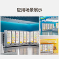-22°c food freezer, air-cooled, independent door temperature control, commercial high-capacity ice cream display case for frozen treats