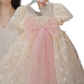 Girls'  new fashionable princess dress - birthday party, cake smock, and everyday wear