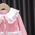 Baby girl's autumn/winter korean style flannel romper - princess style double-layer warm crawling suit for infants