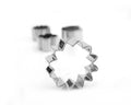New in stock stainless steel plant 12-piece set - flower cookie cutter, biscuit stamp, diy cookie embossing mold