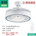 High-end remote control smart fan light restaurant ceiling fan living room bedroom silent light luxury chandelier  new fan light
