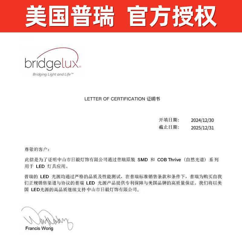 Wabi-sabi retro piano living room ceiling light walnut pattern medieval designer Japanese rectangular living room main light