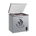 Royalstar tier 1 energy-efficient single-temperature freezer [304 stainless steel interior] all-freeze, refrigerate, and fresh-keep energy-saving freezer
