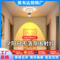 Aisle lights, corridor lights, surface-mounted projection, never-sunset atmosphere lights, entrance hall, high-end balcony led ceiling lights