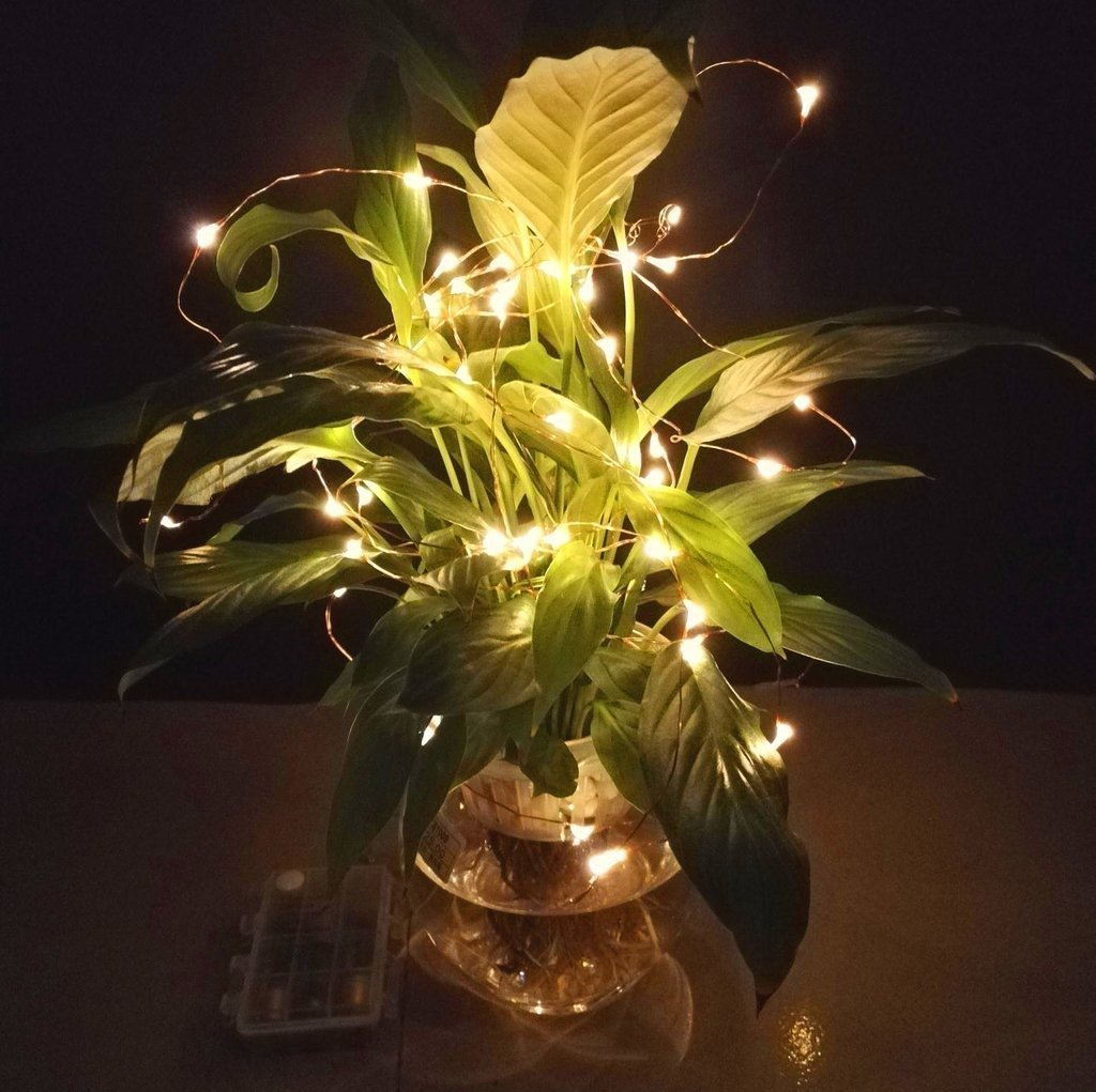 Eight-function waterproof battery box with remote control copper wire light LED low voltage waterproof Christmas light 100LED copper wire light string