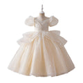 hot-selling classy dress girl tutu skirt accessible luxuryniche style flower girl wedding dress evening dress elegant performance dress