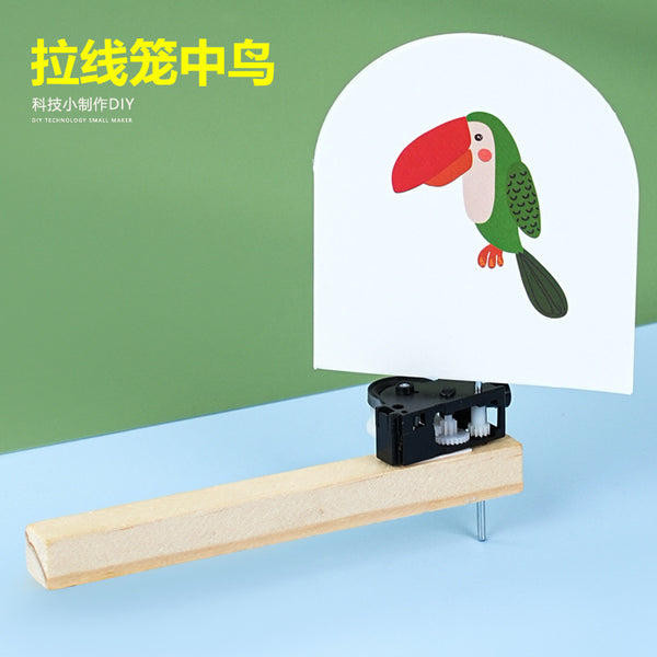 Pull the wire cage bird vision persistence handmade material package primary school students science and technology small production bird into the cage scientific experiment