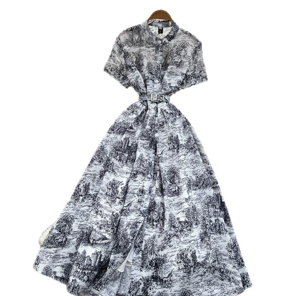 Vintage ink wash painting print short sleeve dress - women's summer stand collar belted slimming design - elegant mid-length dress