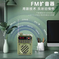Jinzheng 819 new arrival pocket elderly radio portable card bluetooth amplifier recording delete digital song request