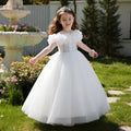 Girls' formal dress - premium openwork birthday princess gown -  new arrival - wholesale single piece - puffy flower girl dress