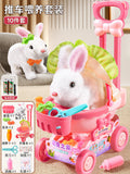 Little white rabbit [stroller] + battery