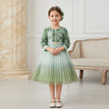 Custom girls' dress - printed floral chiffon a-line skirt - trendy pleated skirt - cross-border children's wear