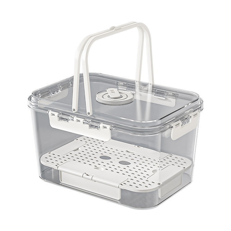 Customized picnic camping outdoor transparent portable refrigerator crisper multi-functional snack portable large-capacity storage box