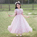 Hot-selling girls' dresses in stock: new  chiffon summer collection - stylish and chic short-sleeve dresses for girls