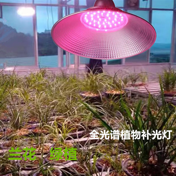 LED full spectrum plant growth light dragon fruit flower-inducing greenhouse vegetable indoor balcony orchid planting filling light
