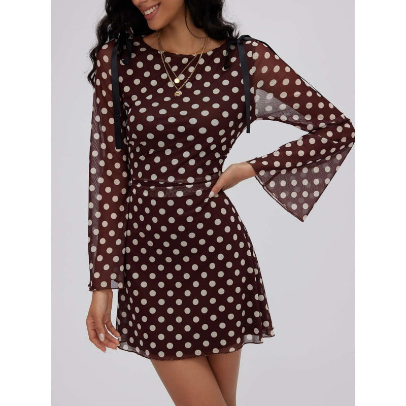 Amazon fashion see-through sexy polka dot long sleeve dress women's  summer new design skirt