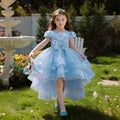 Ready-to-ship wholesale girls' dresses,  new style flower girl trailing gown, birthday party, children's day performance, princess dress, summer collection