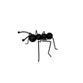Manufacturer iron art ant ornaments home decoration crafts metal ornaments animal ornaments