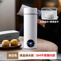 Electric kettle cup - portable travel mini digital display outdoor constant temperature baby warmer for infants - cross-border e-commerce