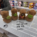 Tiktok viral talking capybara plush toy - singing, dancing, recordable capybara doll - perfect gift for her