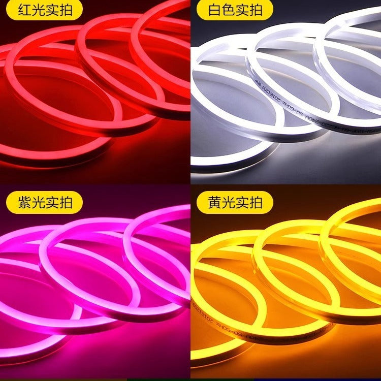 LED light with neon light flashing color-changing 220v decorative outdoor waterproof light strip linear light energy saving and power saving