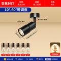 Ceiling model [10~60° focus adjustment] full spectrum ra98 black - 20w/warm light 3000k