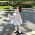Summernew arrival bag butt skirt sweetkorean style baby girl bag butt princess dress dress ha shirt 100th birthday party one year old