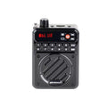 Jinzheng 819 new arrival pocket elderly radio portable card bluetooth amplifier recording delete digital song request