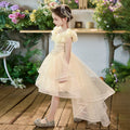 Girls' formal dresses flower girl wedding dresses train gowns birthday piano recital runway stunning dresses children's princess dresses
