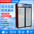 Beverage refrigerator display cabinet vertical fresh-keeping cabinet commercial large-capacity freezer single and double door commercial fresh-keeping