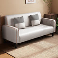 Accessible luxury fabric sofa apartment small apartment living room sofa no-wash technical cloth double three-person simple small sofa wood