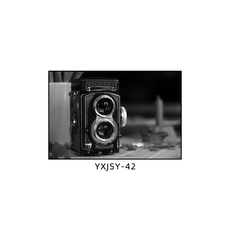 Camera photography Decorative painting Photo studio Black and white industrial style hanging painting Media studio Camera mural