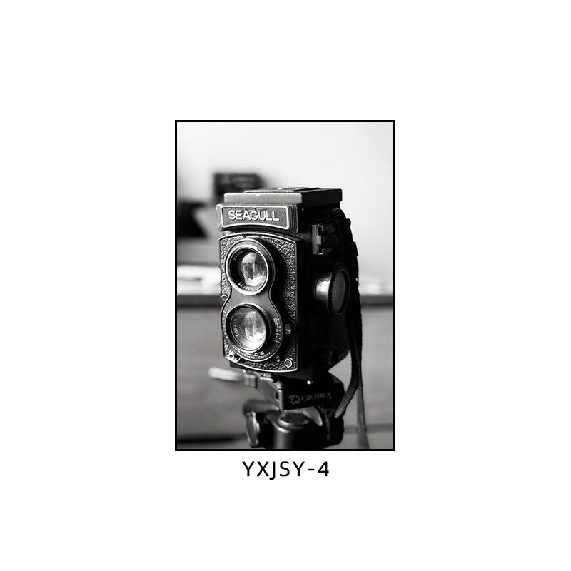 Camera photography Decorative painting Photo studio Black and white industrial style hanging painting Media studio Camera mural