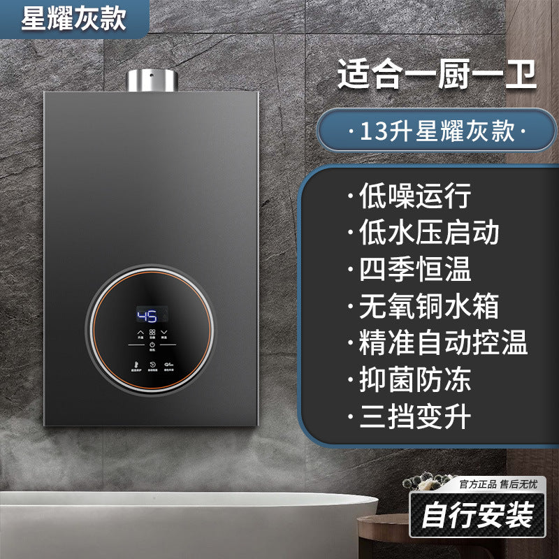 Wholesale royalstar natural gas gas water heater for home13l liquefied gas coal gas forced exhaust gas model 16 liters