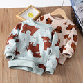 Boys' sweatshirt - spring/autumn collection : stylish and trendy korean design for mid-to-large children. cool and fashionable autumn apparel