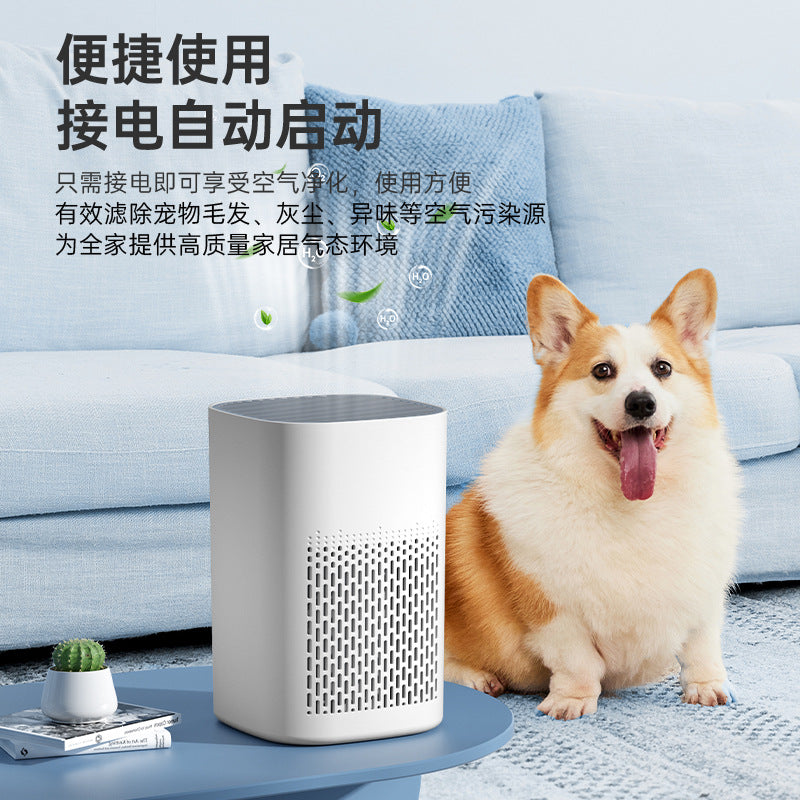 air purifier for home odor removal air purifier desktop purifier negative ion personalized wholesale