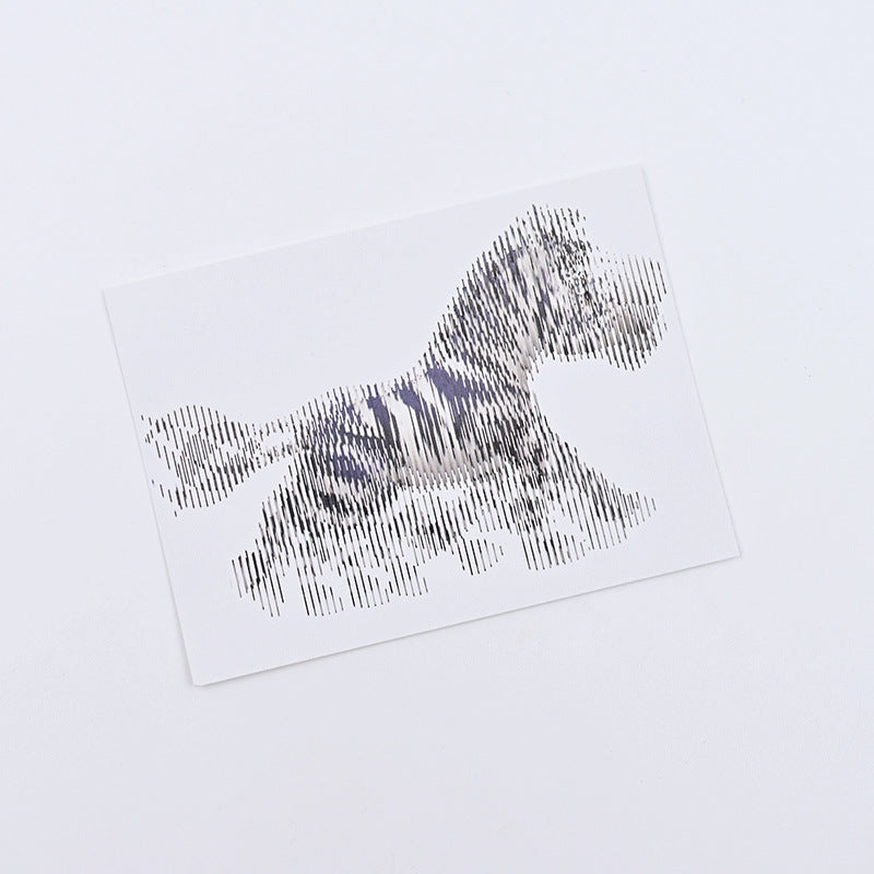 Raster animation Moire stripe children's early education science experiment STEAM handmade DIY technology small production small invention