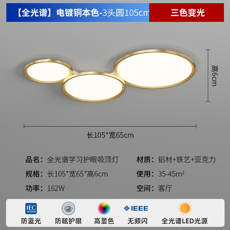 Zhongshan Modern Simple Living Room Light Ceiling Light 2025 New Puri Full Spectrum Eye Protection Bedroom Room Lighting