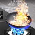 Wholesale high-power gas stove double burner for home natural gas table embedded liquefied petroleum gas stove fierce stove