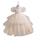 Yimingwei fashionnew arrivalgirl princess dress flower girl wedding kids tutu skirt baby girl baby first birthday dress