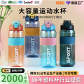 Factory customized large capacity plastic water bottle - cross-border minimalist straw space cup - outdoor sports portable handle water bottle