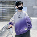 Boys' gradient hoodie - spring/autumn  new style, trendy kids' streetwear, autumn top, boy's base layer, cool & edgy
