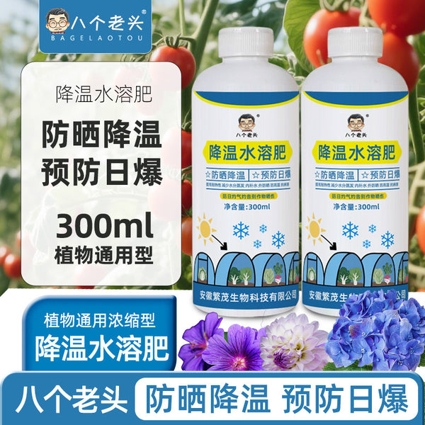 Greenhouse cooling water soluble fertilizer greenhouse greenhouse sunshade greenhouse vegetables, arch shed rainproof cooling genuine prevention