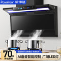 Wholesale royalstar high suction range hood for home kitchen free disassembly and washing rental roof side double suction range hood