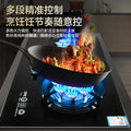Gas stove double stove for home gas stove natural gas liquefied gas embedded desktop fierce fire stove timing new arrival
